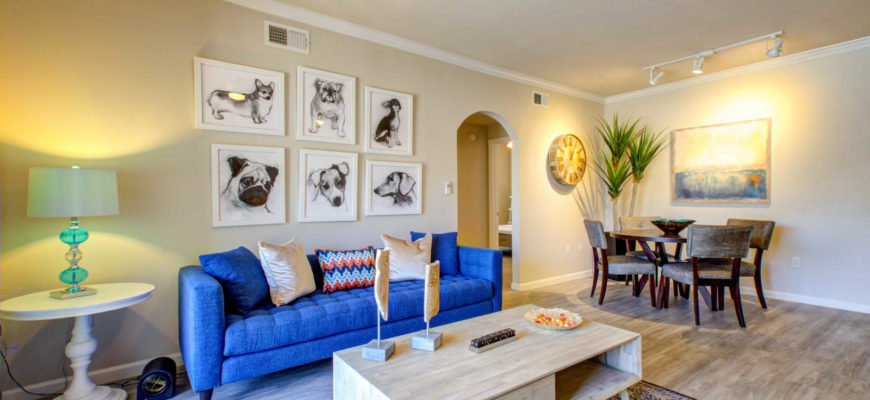 modern living room with a blue couch, grey rug, paintings of dogs on the wall, dining room table in the back of the room.